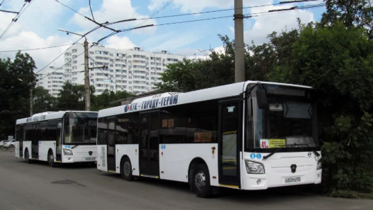 Автобус №105М в Новороссийске снова пойдёт через Золотую Рыбку – в Гайдук заезжать не будет 