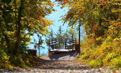 Золотая осень - полное погружение: ТОП-6 локаций для улетных фотосессий на природе в Новороссийске и окрестностях