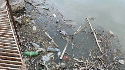 «Зрелище удручает»: экологи побывали на «Южных прудах» в Новороссийске и отправили в администрацию список наболевших вопросов 