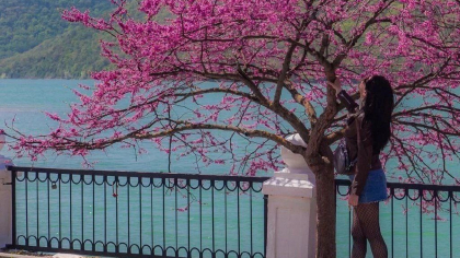 Врывайтесь в весну! Календарь цветения в Новороссийске и окрестностях на апрель: где и когда искать красивые локации для фотосессий 