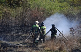 Рядом с Суджукской лагуной Новороссийска вспыхнул пожар