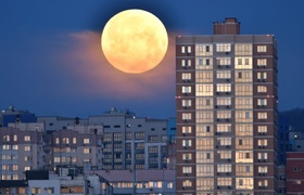 Червивое полнолуние: огромная Луна нависла над крышами многоэтажек Новороссийска
